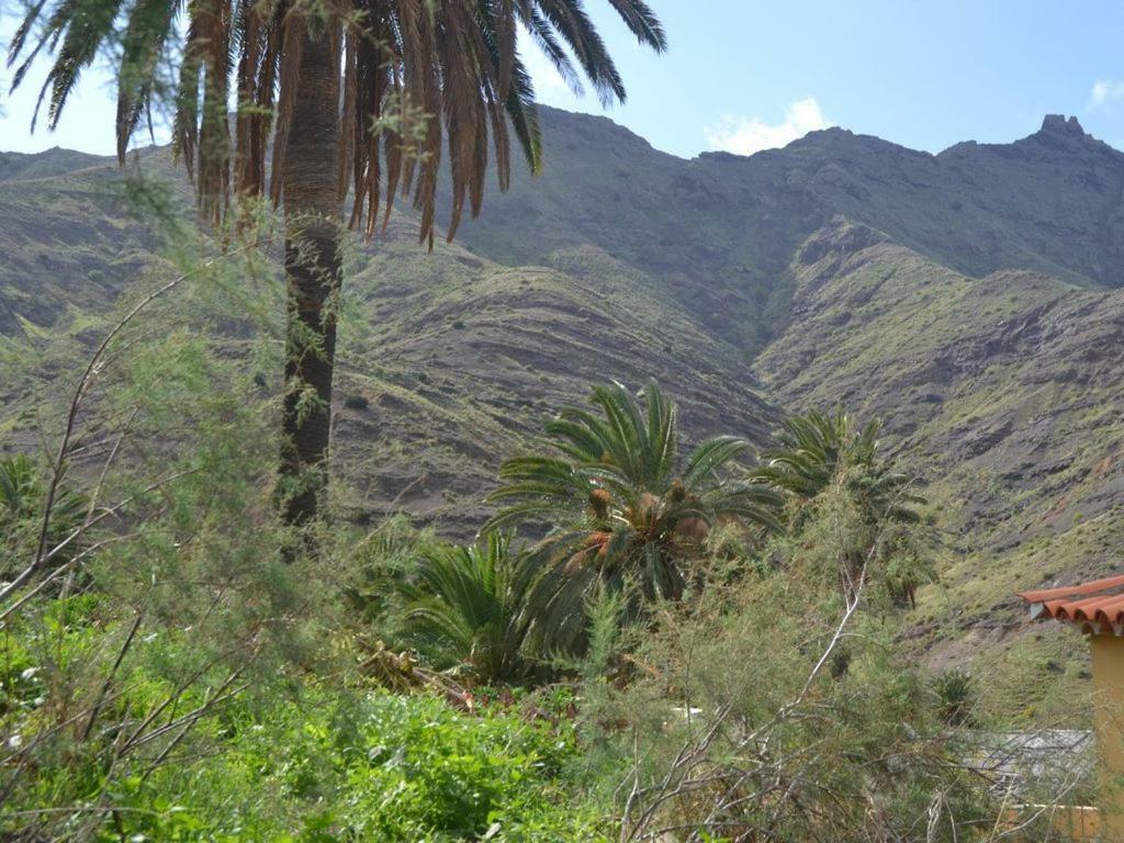 Casa Los Palmeros Perdomo Alojera Eksteriør billede